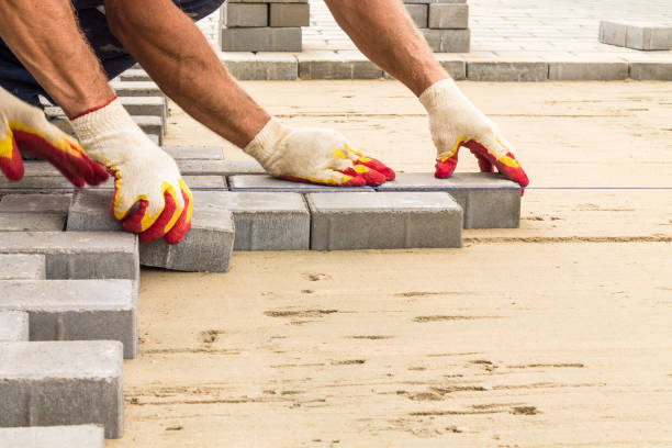 Best Professional Driveway Pavers  in Webster, FL